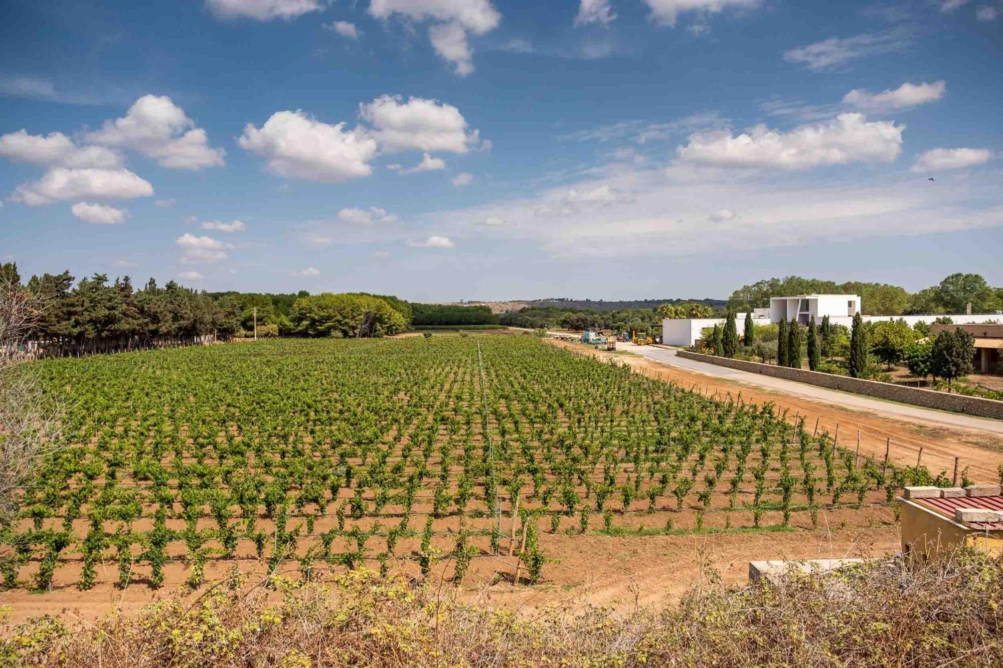 Tenuta Doxi Bed & Breakfast Gallipoli